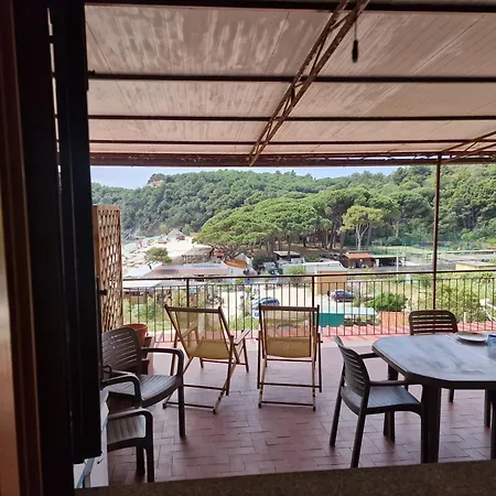Apartament Orchidea Fetovaia