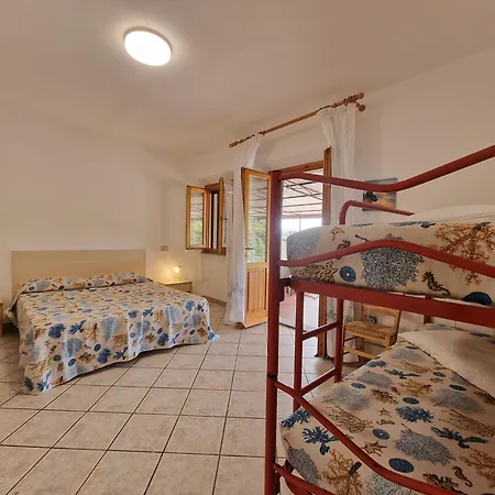 Orchidea Apartment