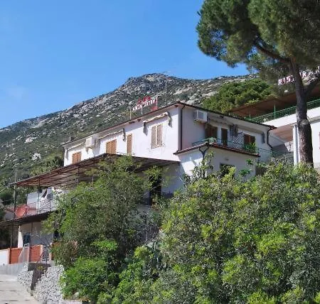 Apartment Orchidea Fetovaia